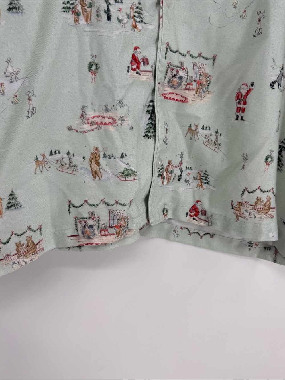 Pottery Barn x Riley Sheehey Holiday Adult Flannel Pajama Set size XL Green - Picture 3 of 10